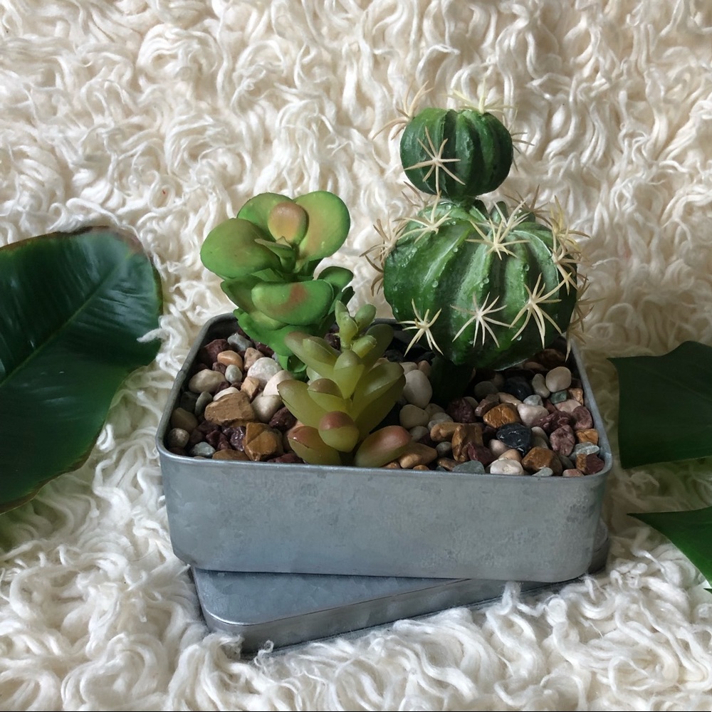 Faux Succulents Set